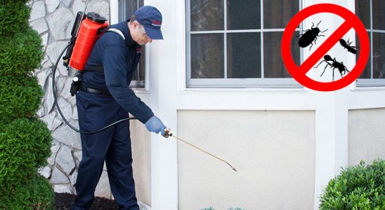Marmaraereğlisi Böcek İlaçlama böcek ilaçlama ve haşere kontrolü — ilaclama-tr.com